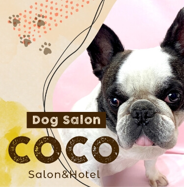 COCO｜Salon & Hotel