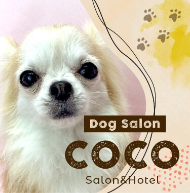 COCO｜Salon & Hotel